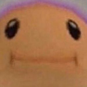 Meet your Posher, Miguel